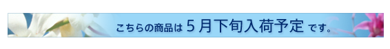 入荷予定