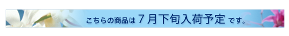 入荷予定